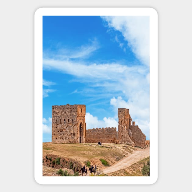 Merinids Tombs, Fez Sticker by bulljup